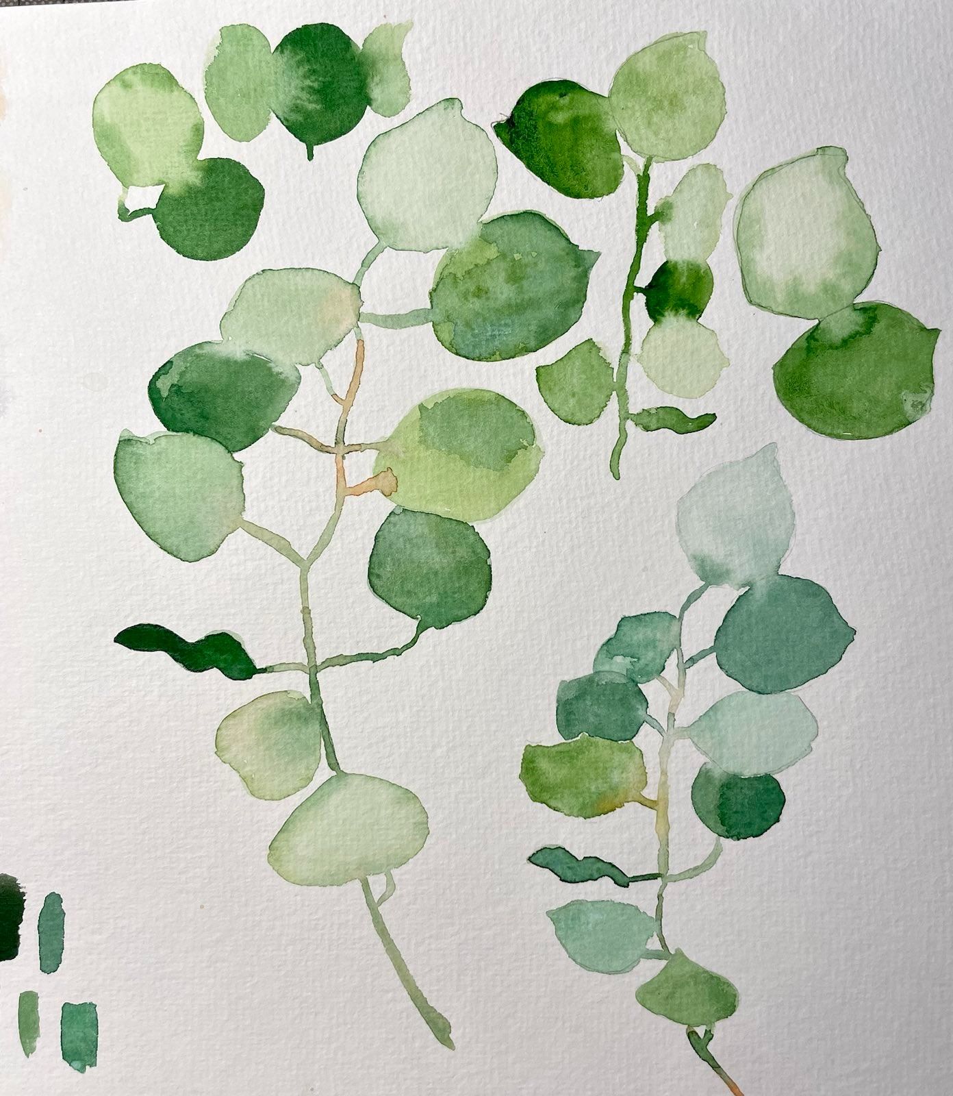 A watercolor painting of plants