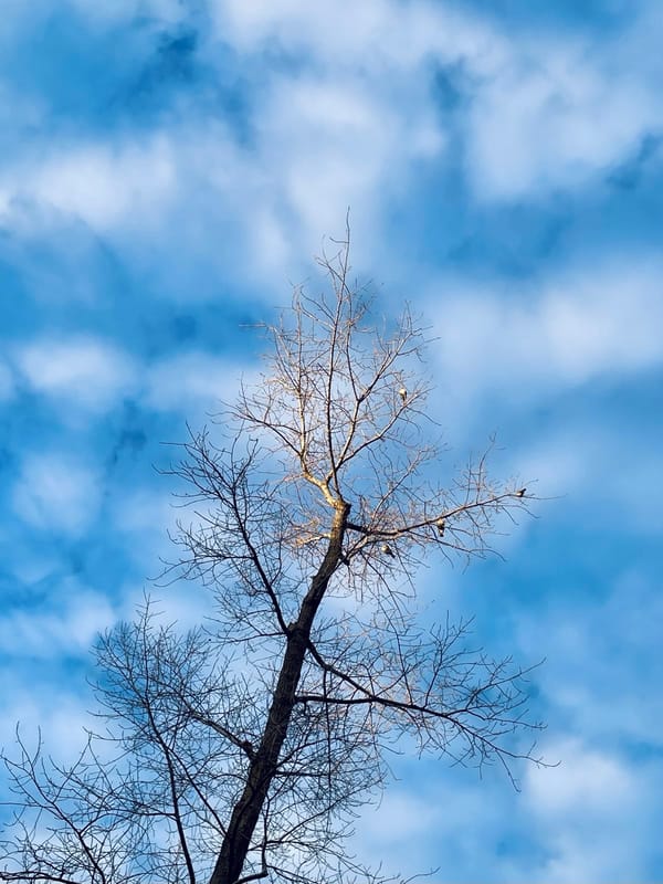 The Art of Preparedness